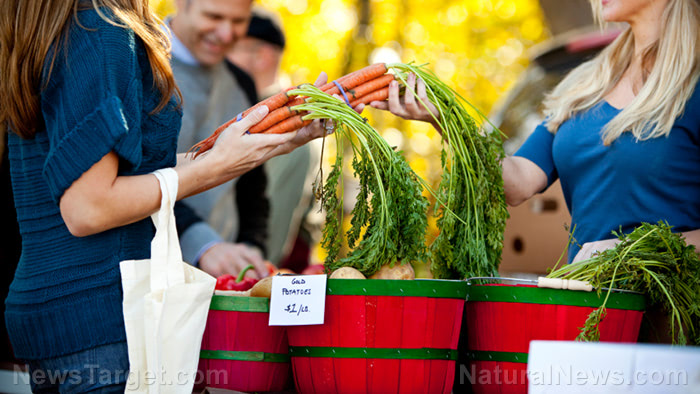 Perfect storm: Pandemic, climate, war all contribute to food shortages around the world