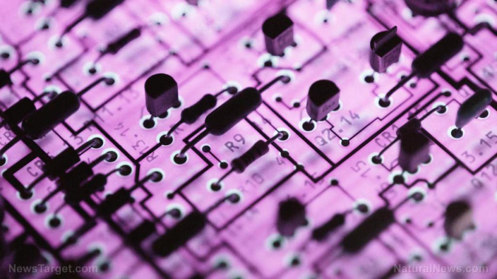 Implantable chips for humans to be implemented globally