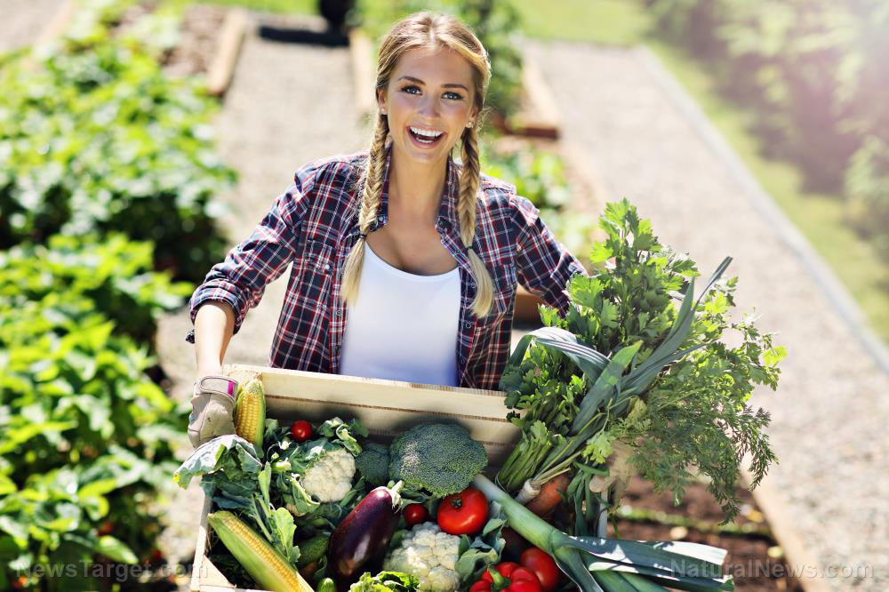 Dr. Robert Malone: Wartime gardens key to beating food crisis