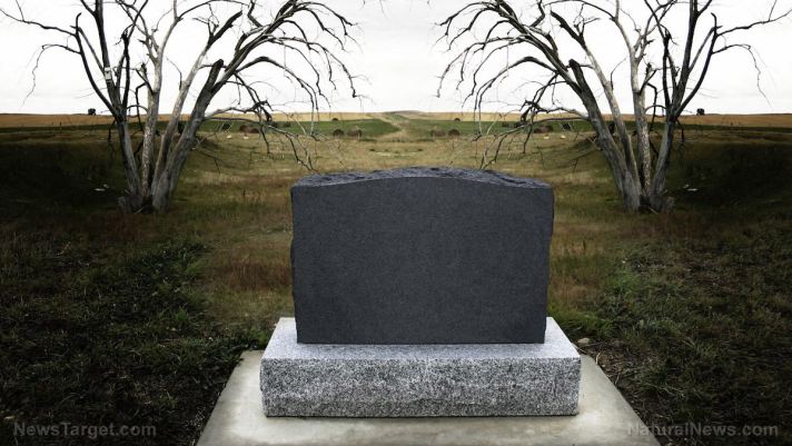 Covid jabs are killing 300X more people every year than all 70+ FDA-approved vaccines combined