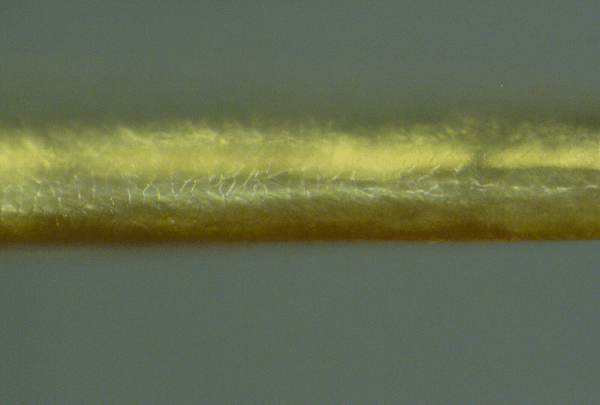 Nanowire clot 1000x