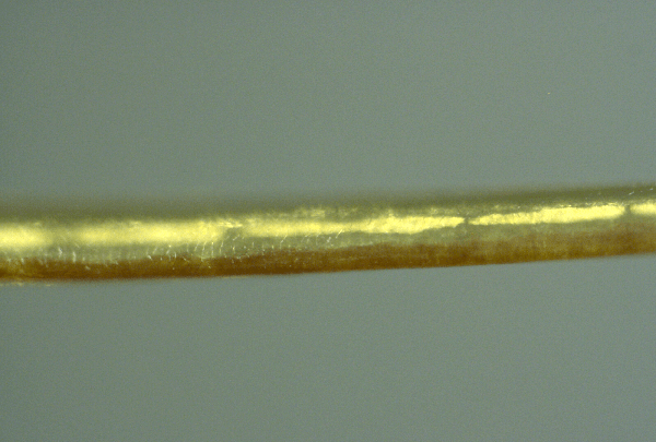 Nanowire clot 500x