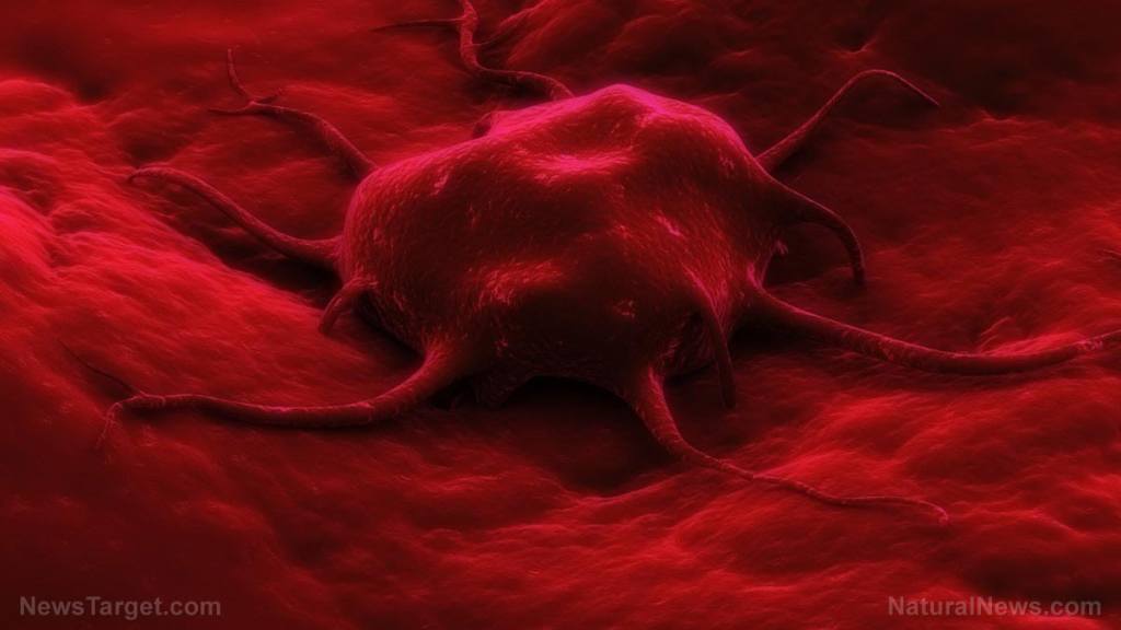 Another vaccine-induced blood clot? Female pro golfer Nelly Korda DARE NOT say the “V” word when speaking about her blood clots