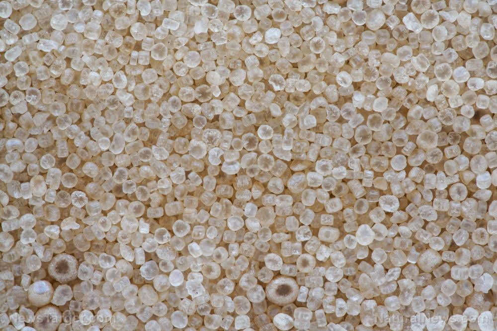 The Dutch government’s claim that nitrogen is a “pollutant” relies on the same junk science fiction as vaccines and climate change