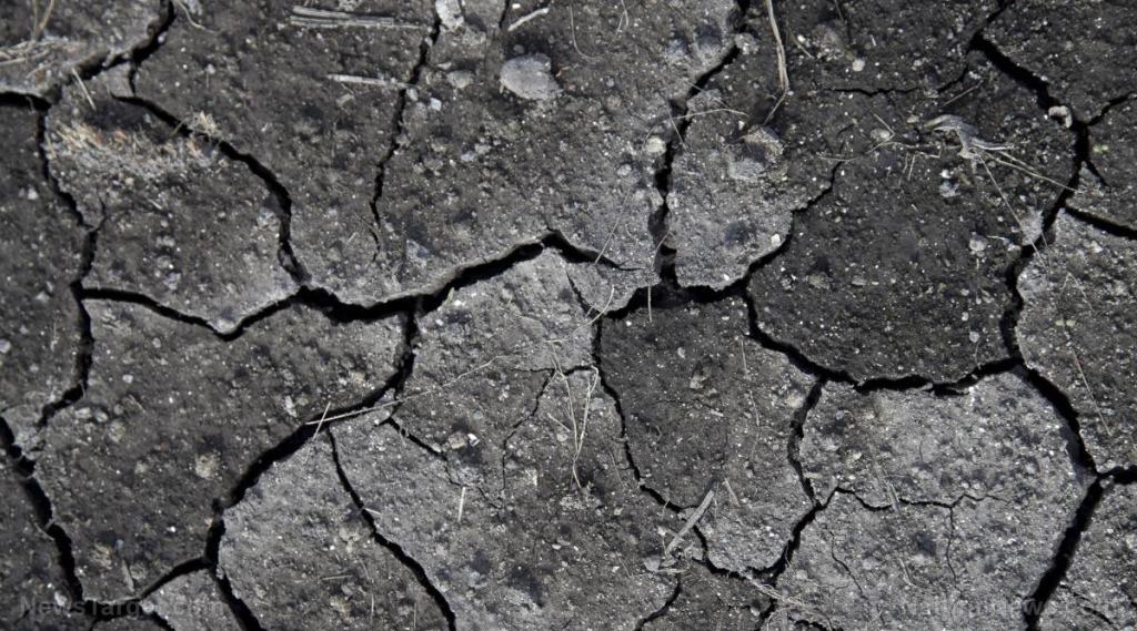 Food supply THREAT: If California cuts off water to farms, ALL of America will face food shortages