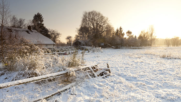 Germany says citizens who don’t enjoy freezing this winter are extremists