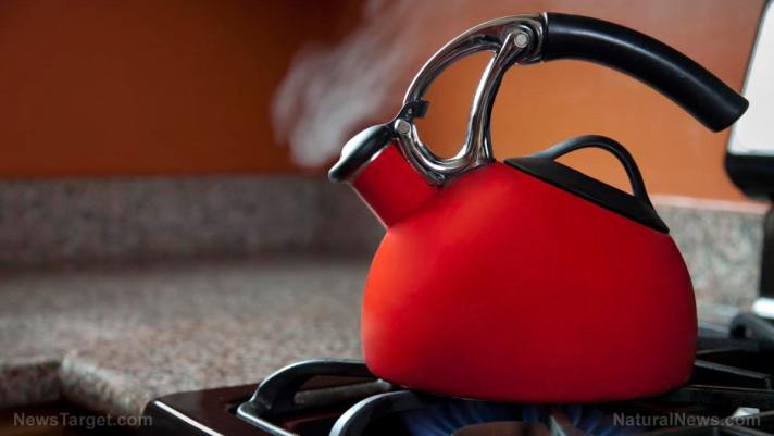 Climate change fanatics still trying to ban gas stoves – they’re just doing it quietly now