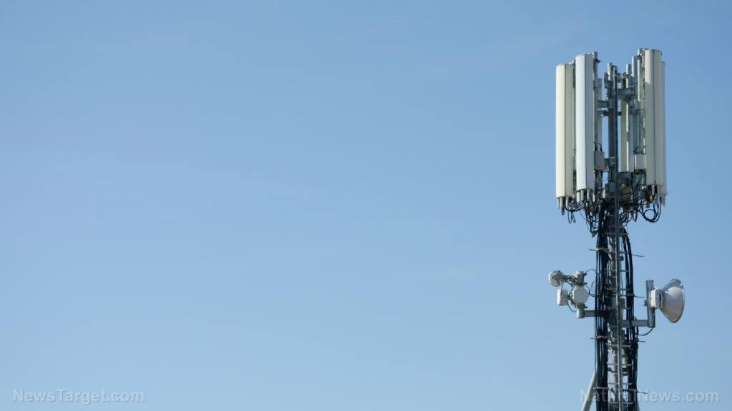 European telecommunications networks may go offline this winter due to energy crisis