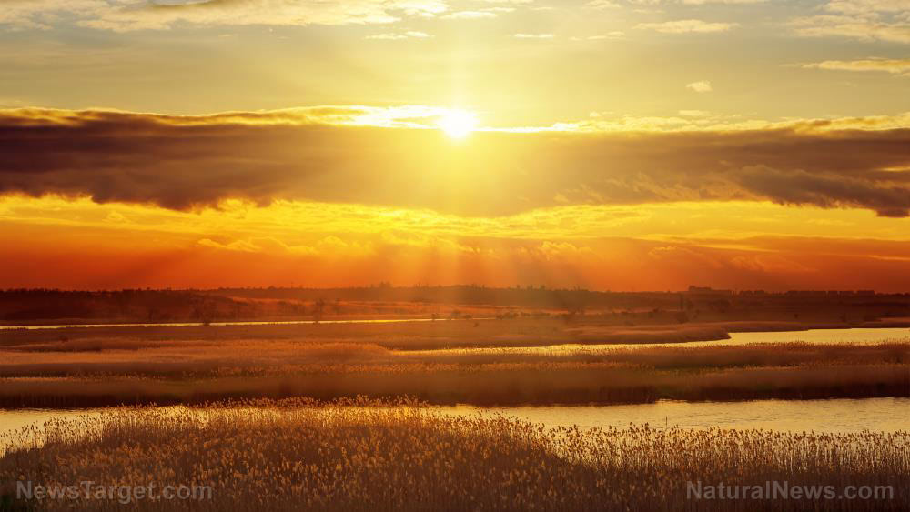 World Economic Forum to deploy “space bubbles” for blocking out sun, stopping “global warming”