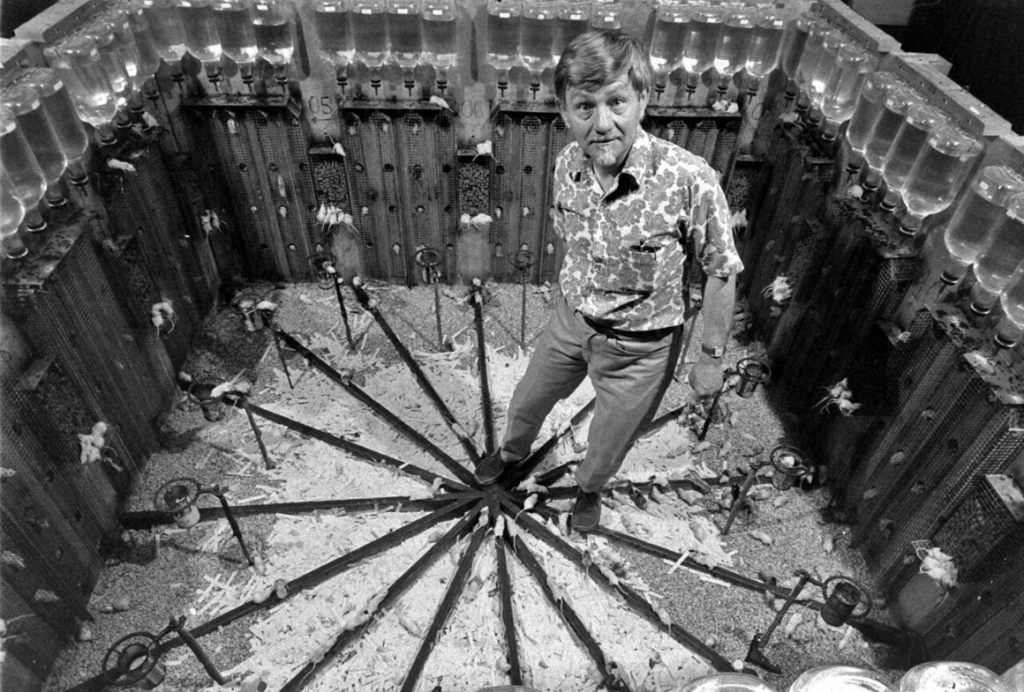 Globalist “utopia” is driving mankind to self-extinction, just like what was seen in Calhoun’s mouse experiments