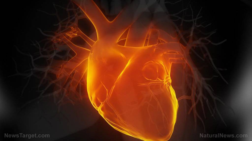 Cardiologist: Over 7M Americans may have some form of HEART INJURY due to COVID-19 vaccines