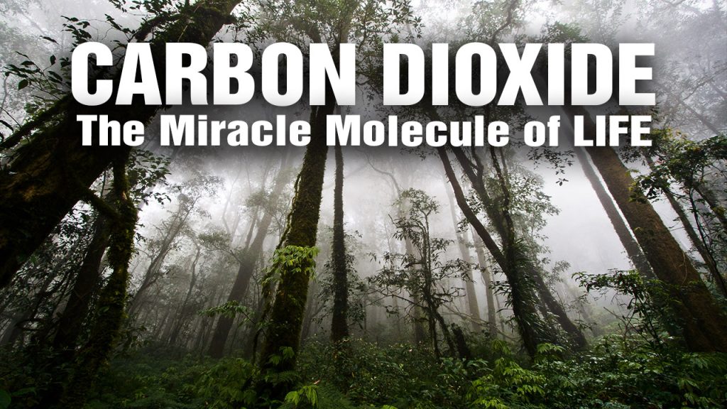 Carbon dioxide isn’t a pollutant; it’s the building block of ALL LIFE on Earth