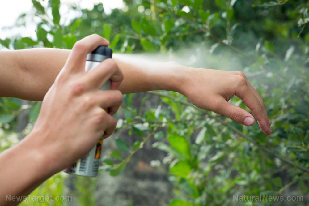 With malaria cases on the rise, here are some NATURAL ways to prevent mosquito bites