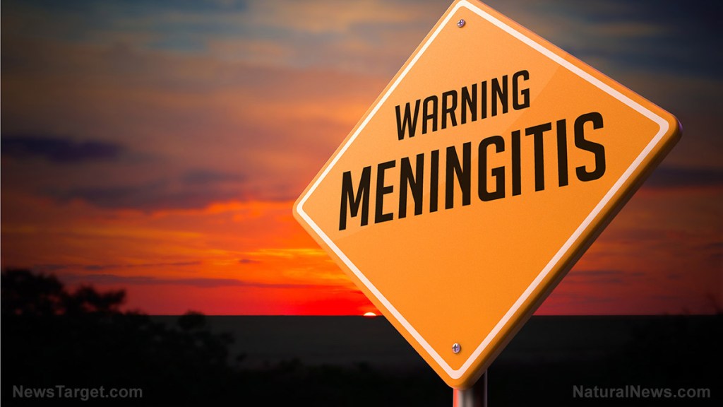 Breast implants and butt lifts are infecting patients with deadly flesh-eating FUNGUS that “eats through blood vessels”