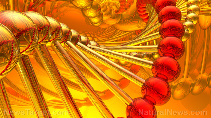 Entire board of 23andMe RESIGNS, leaving only Anne Wojcicki, deceased former YouTube CEO Susan Wojcicki’s sister at helm