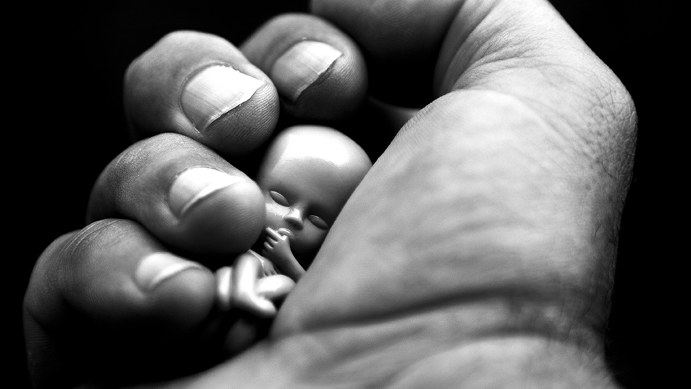 Maryland abortion clinic tells caller she can murder unborn child at 34 weeks (8.5 months): “A needle is inserted through the (baby’s) abdomen and into the fetal heart”