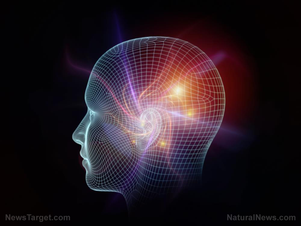 South Korean scientists discover how to use nanoparticles to control emotions, appetite via external magnetic field