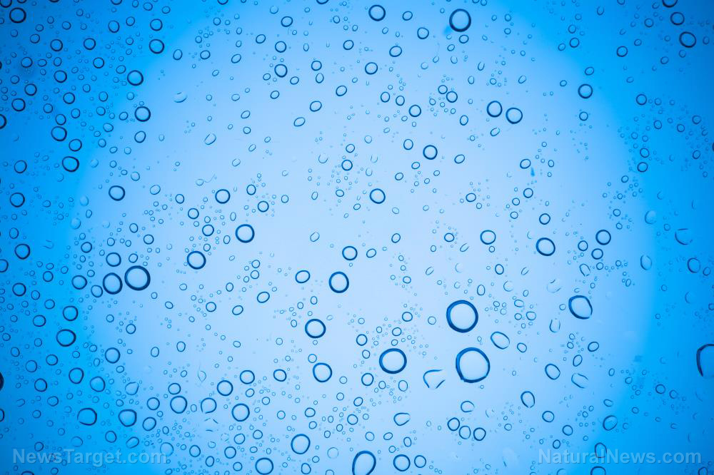 From textile dye to potential wonder drug: “The Ultimate Guide to Methylene Blue” by Mark Sloan