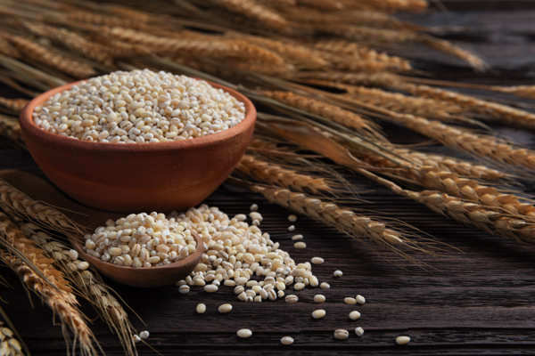 Barley: A nutrient-dense ancient grain with modern benefits
