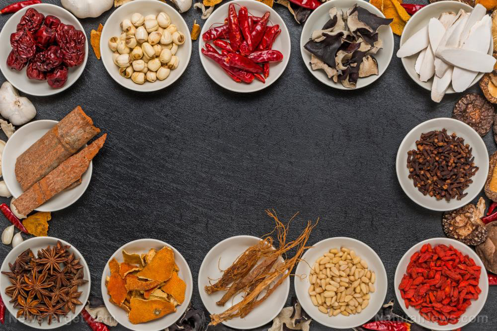 The resurgence of herbal remedies: A deep dive into “The Doctors Book of Herbal Home Remedies”