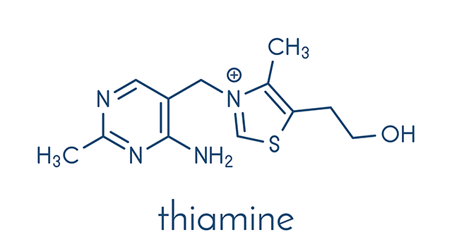 Dr. Derrick Lonsdale reveals the widespread impact of thiamine deficiency in his book